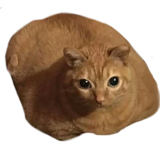 Стикер lemmlem - 10