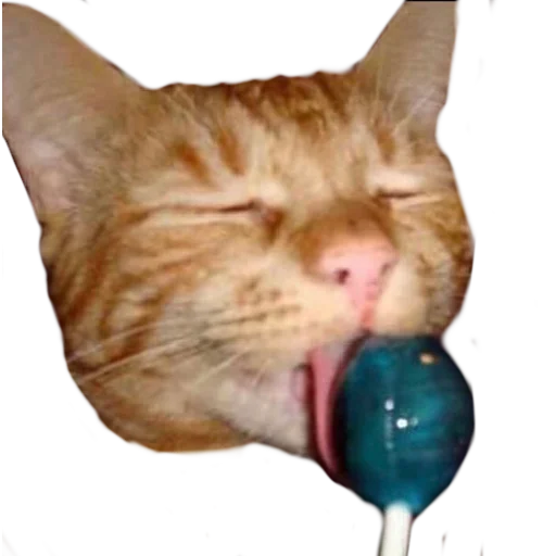 Стикер lemmlem - 8