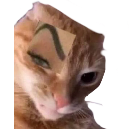 Стикер lemmlem - 7