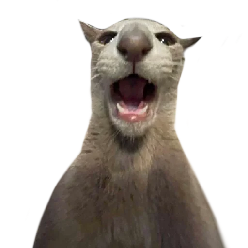 Стикер lemmlem - 6