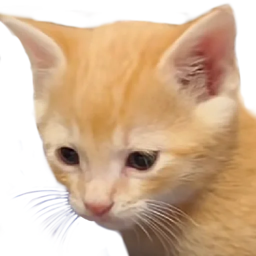 Стикер lemmlem - 3