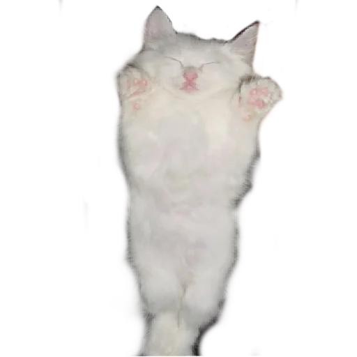 Стикер lemmlem - 1