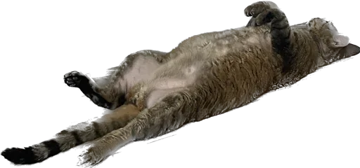 Стикер lemonchella - 1