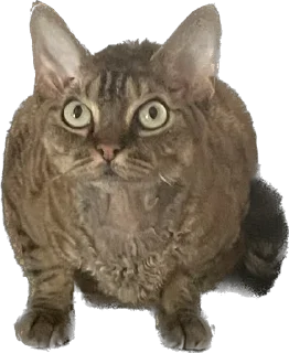 Стикер lemonpack - 11