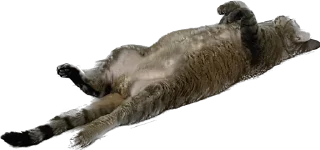 Стикер lemonpack - 0