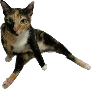 Стикер lemonpack - 5