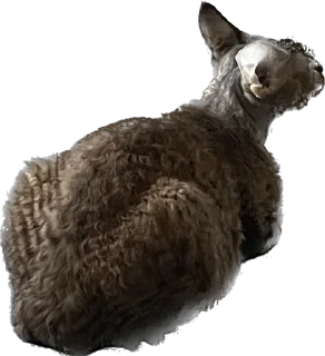 Стикер lemonpack - 7