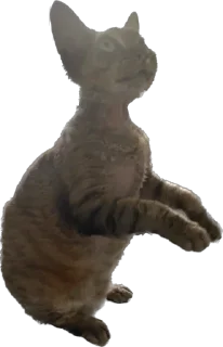 Стикер lemonpack - 4