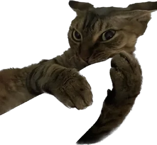 Стикер lemonpack - 6