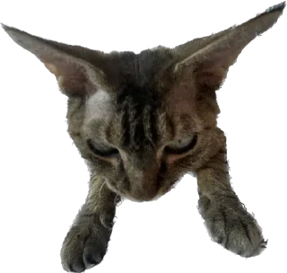 Стикер lemonpack - 1