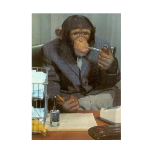 human face clothing person