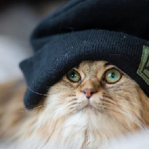 Sticker Pack @lovechilmiandskan - 11