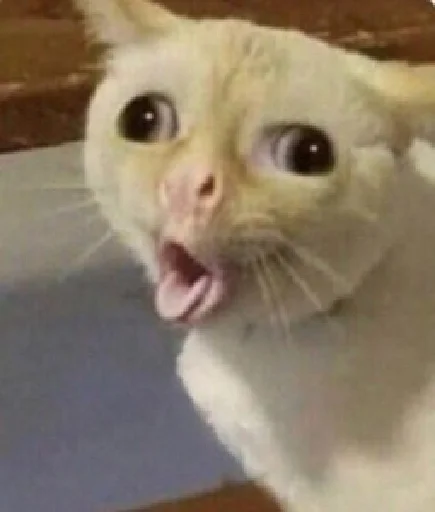 Sticker Pack @lovechilmiandskan - 10