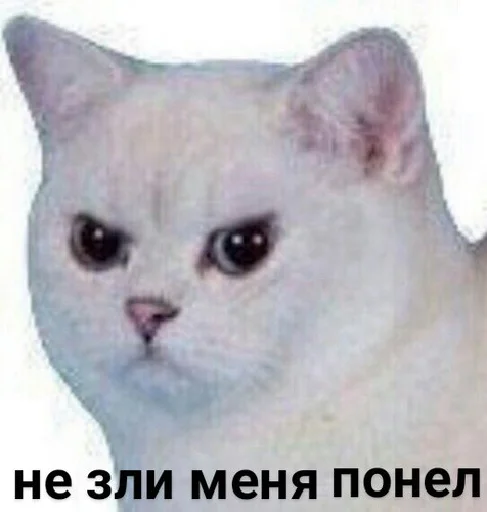 Sticker Pack @lovechilmiandskan - 5