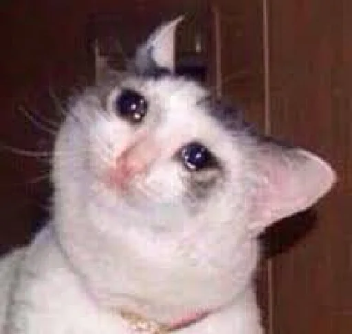 Sticker Pack @lovechilmiandskan - 4