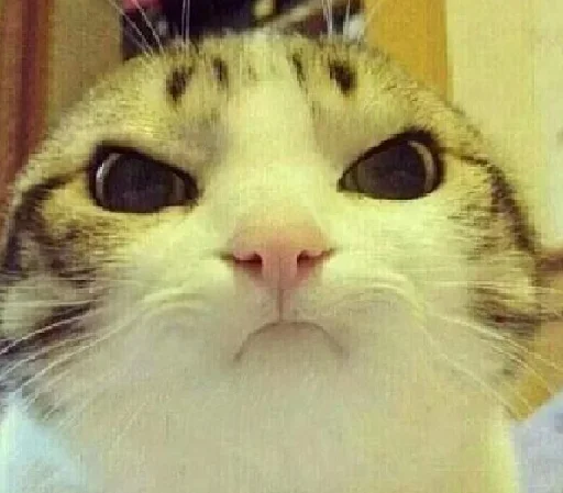 Sticker Pack @lovechilmiandskan - 2