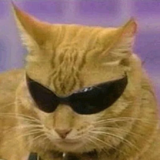 Sticker Pack @lovechilmiandskan - 0