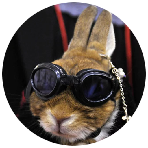 Sticker Хитрый кролик - 11