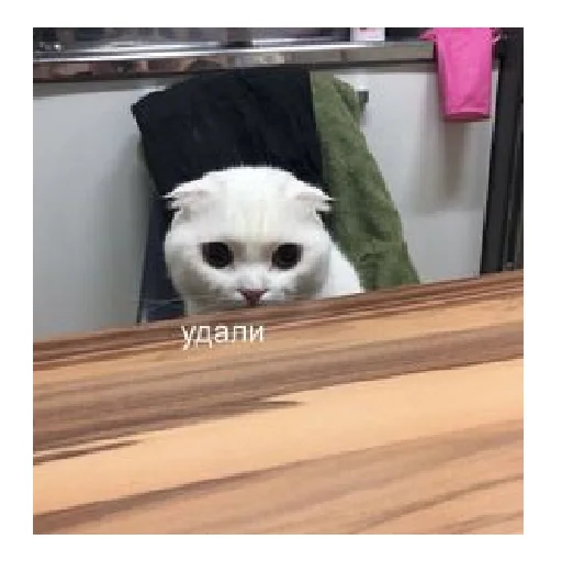 Sticker lerycaandmems - 1