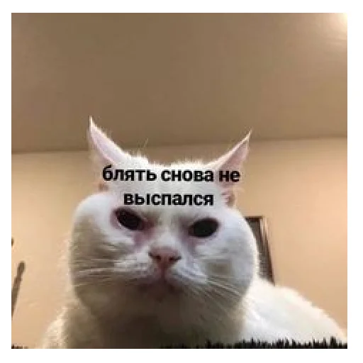 Стикер lerycaandmems - 1