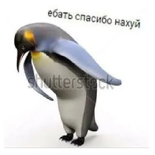 Sticker leryca and mems - 7