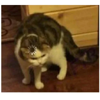 Sticker leryca and mems - 0