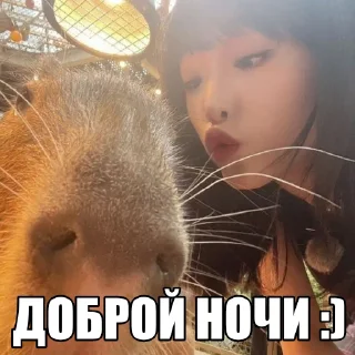 Стикер let's go lesbians @ltglstickers - 4