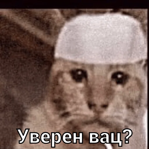 Стикер Mems by. @niggovskiy - 8