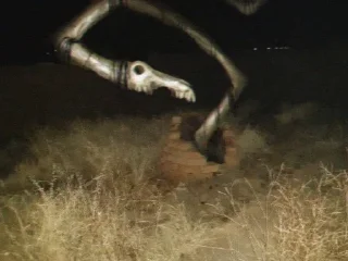 Sticker @stiki_tg_nah_canal - 11