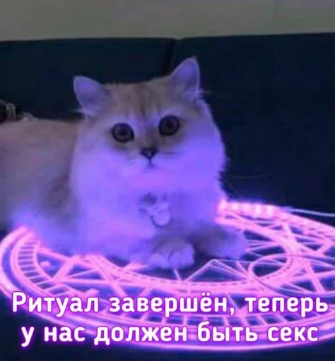 Sticker @dntusoofl - 8