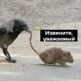 Стикер )))) - 3