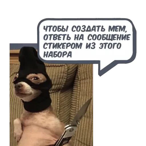 BNM Memes @memecyteBot - 