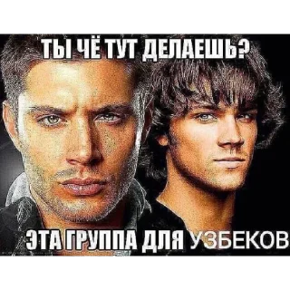 Sticker @pidaraz_uzb - 7