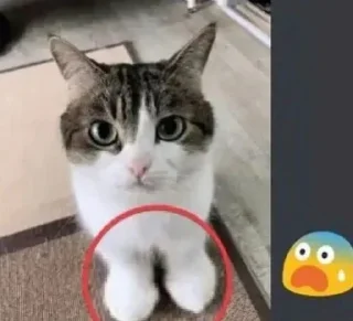 Sticker Больше стиков тут: @stikery4 - 6