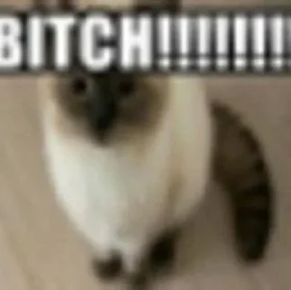 Sticker Больше стиков тут: @stikery4 - 9