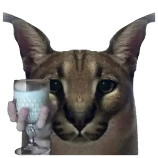 кошка животное млекопитающее