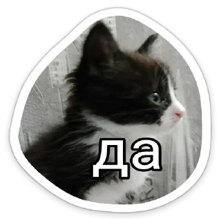 Стикер Личка Черта - 0