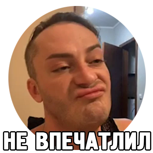 Стикер lidastickersbyhound - 1