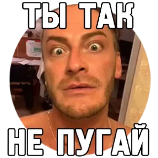 Стикер Её величество ЛИДА - 9