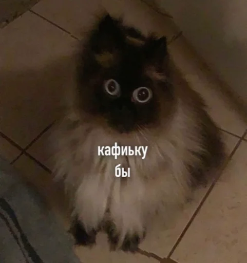 Жизненные картинки - 