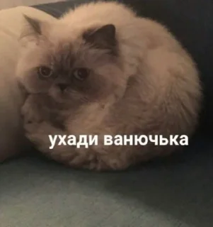 Стикер Жизненные картинки - 6