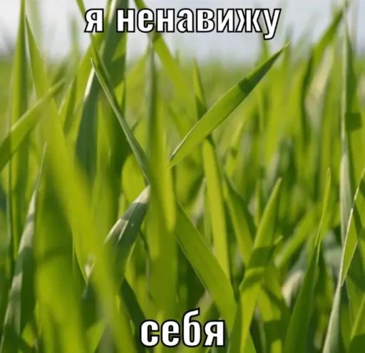 Стикер lifeisbeaufifull - 1