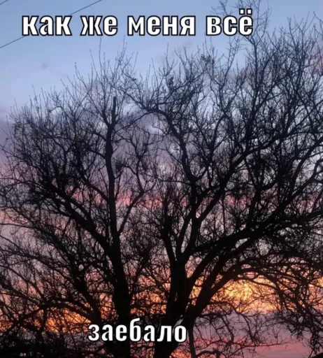 Стикер lifeisbeaufifull - 1