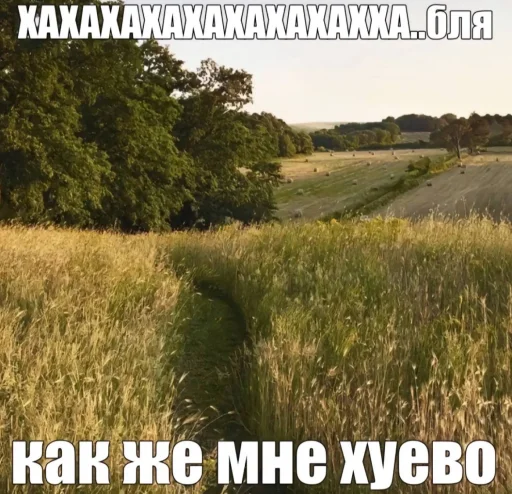 Sticker lifeisbeaufifull - 1