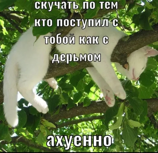 Стикер lifeisbeaufifull - 1