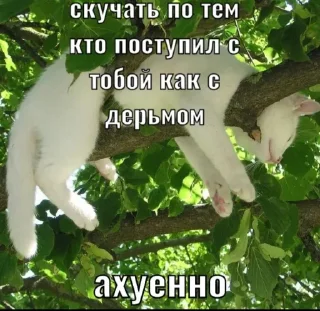 Sticker жизнь прекрасна @dolcepost - 0