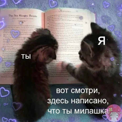 Sticker lifeissocringe - 1