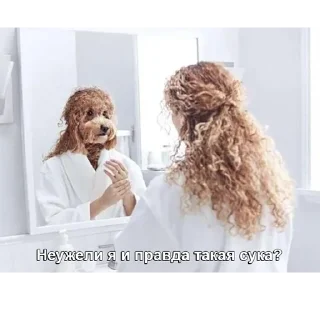 Sticker как классно жыыыть - 4