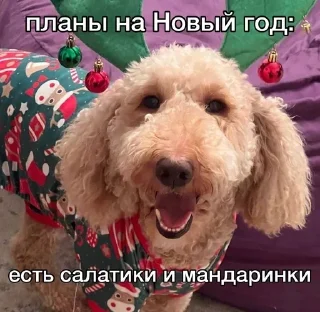 Sticker ЖЮ 🧡 Видео - НГ | @Lifeyt - 3