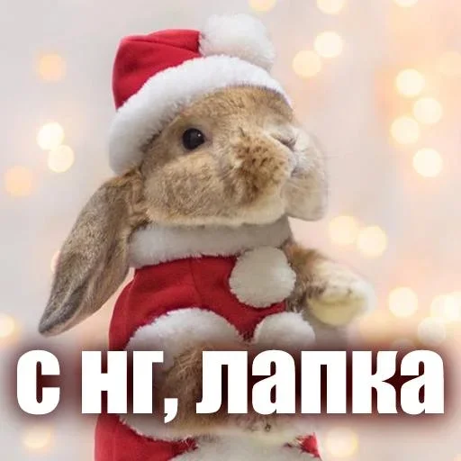 ЖЮ 🧡 Видео - НГ | @Lifeyt - 